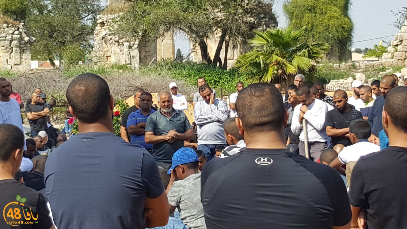 albeedjanaza (16).jpg